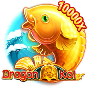 Dragon Koi