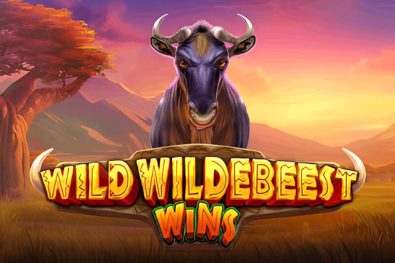 Wild Wildebeest Wins