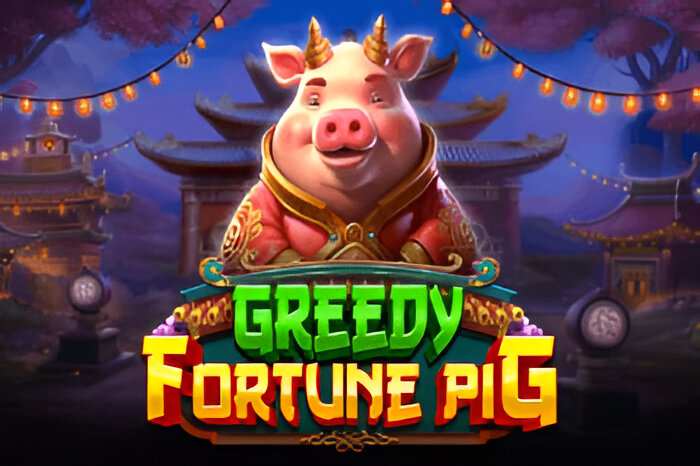 Greedy Fortune Pig